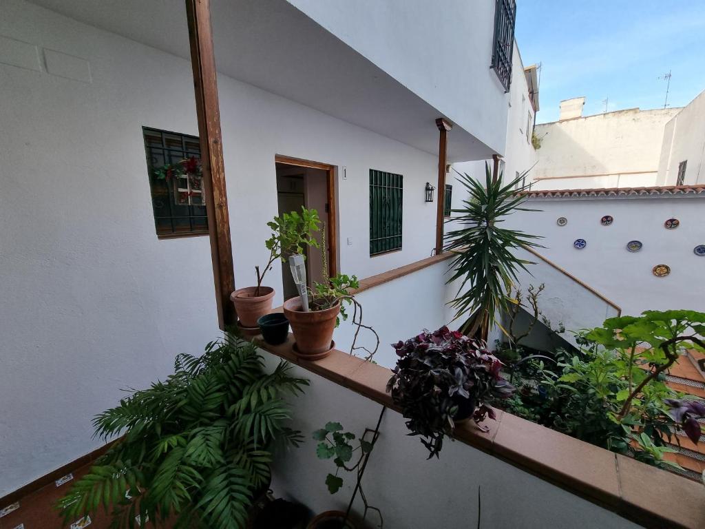 Balkón alebo terasa v ubytovaní Apartamentos en Patio Cordobés San Basilio
