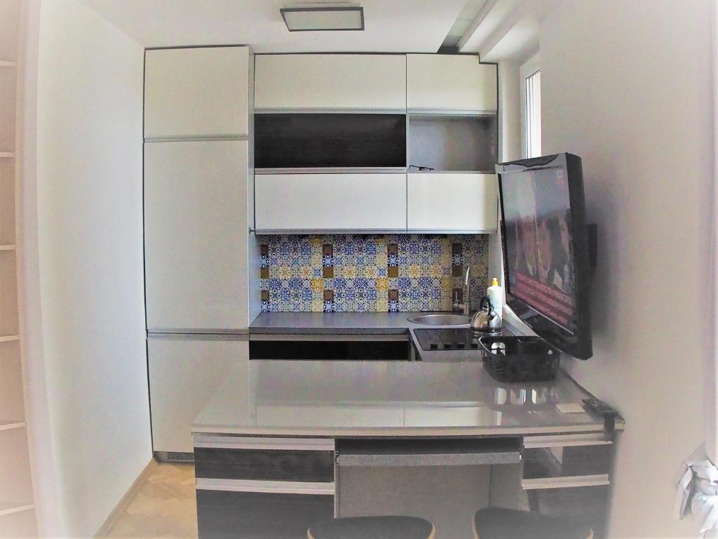 Kuchyňa alebo kuchynka v ubytovaní Ambassador Apartament