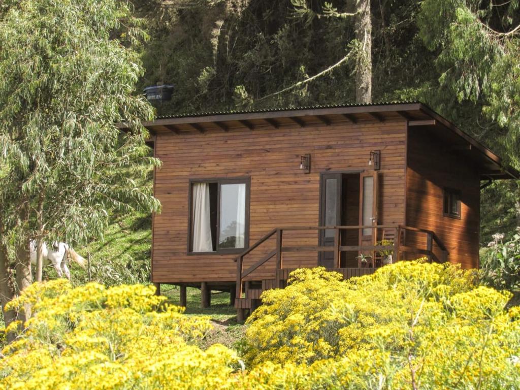 een kleine houten hut met een veranda in een bos bij Quinta dos Ventos Chalé in Urubici