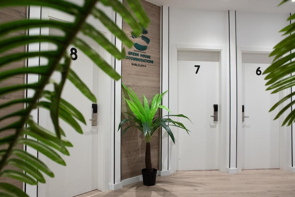 una planta delante de una puerta con números en ella en Bailén Green House, en Barcelona