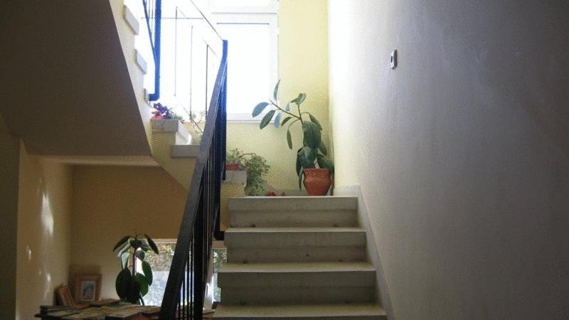 Fotografie z fotogalerie ubytování Lary Hostel v destinaci Sučava