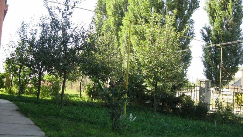 Zahrada ubytování Lary Hostel
