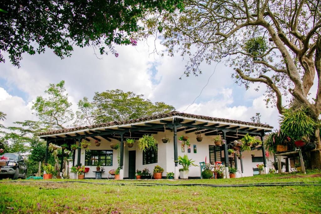 ein weißes Haus mit einem Baum davor in der Unterkunft Hotel Kuácara Campestre in Cajibío