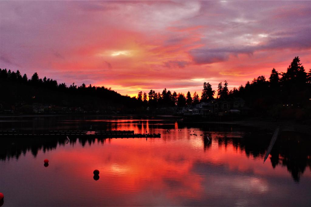 een zonsondergang boven een waterlichaam met bomen bij Lakeshore Inn in Lake Oswego