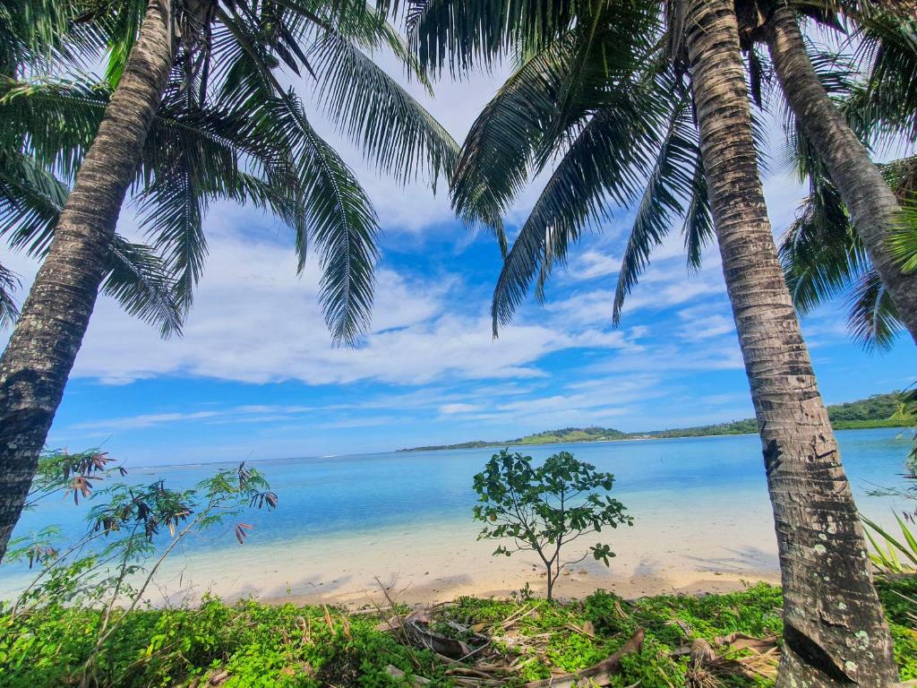 uma vista para uma praia com palmeiras em Ramada Suites By Wyndham Seafront Coral Coast em Korotogo