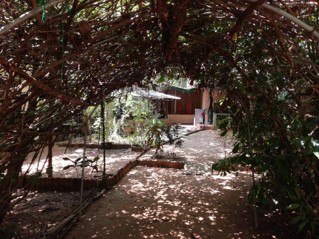 Zahrada ubytování Sigiriya Freedom Lodge