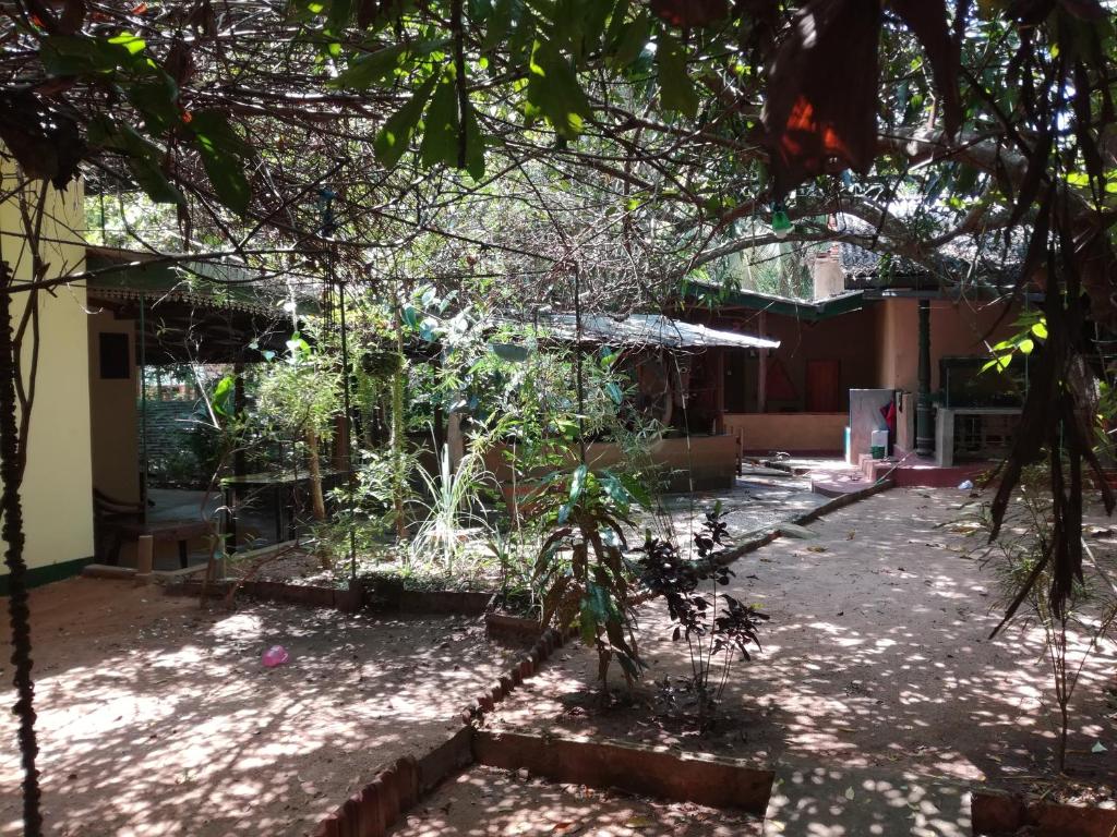 Zahrada ubytování Sigiriya Freedom Lodge