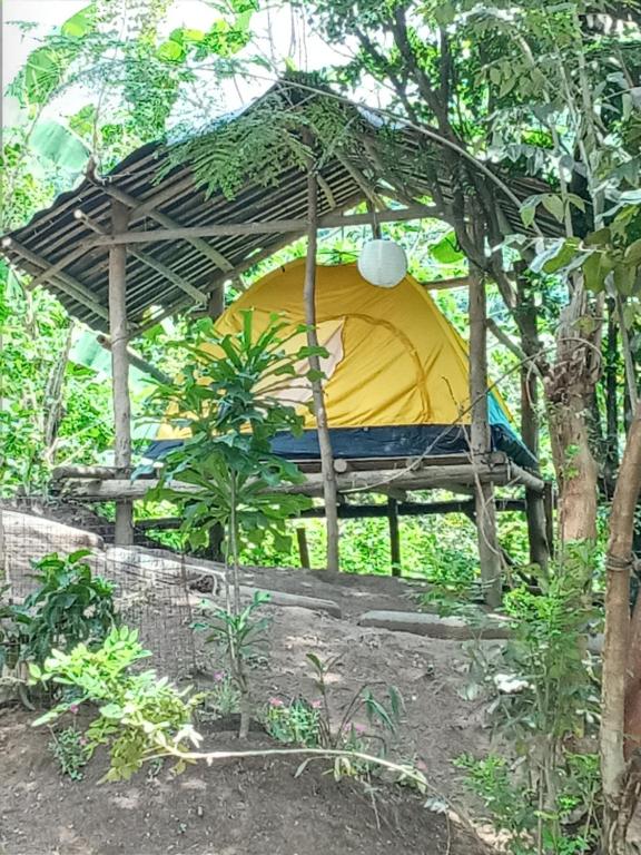 un kiosque avec un parasol jaune et bleu dans l'établissement Raw Camping at Camping Paradise Singalong Mountain Garden, à Antipolo