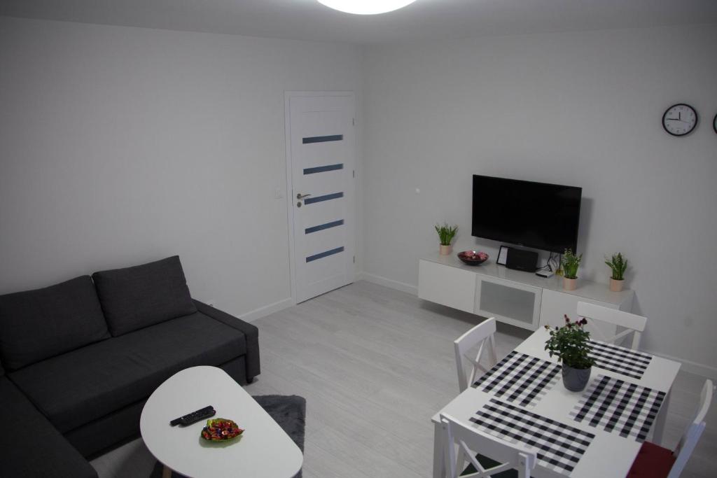 Televízia a/alebo spoločenská miestnosť v ubytovaní Apartament Wrocław Borowska