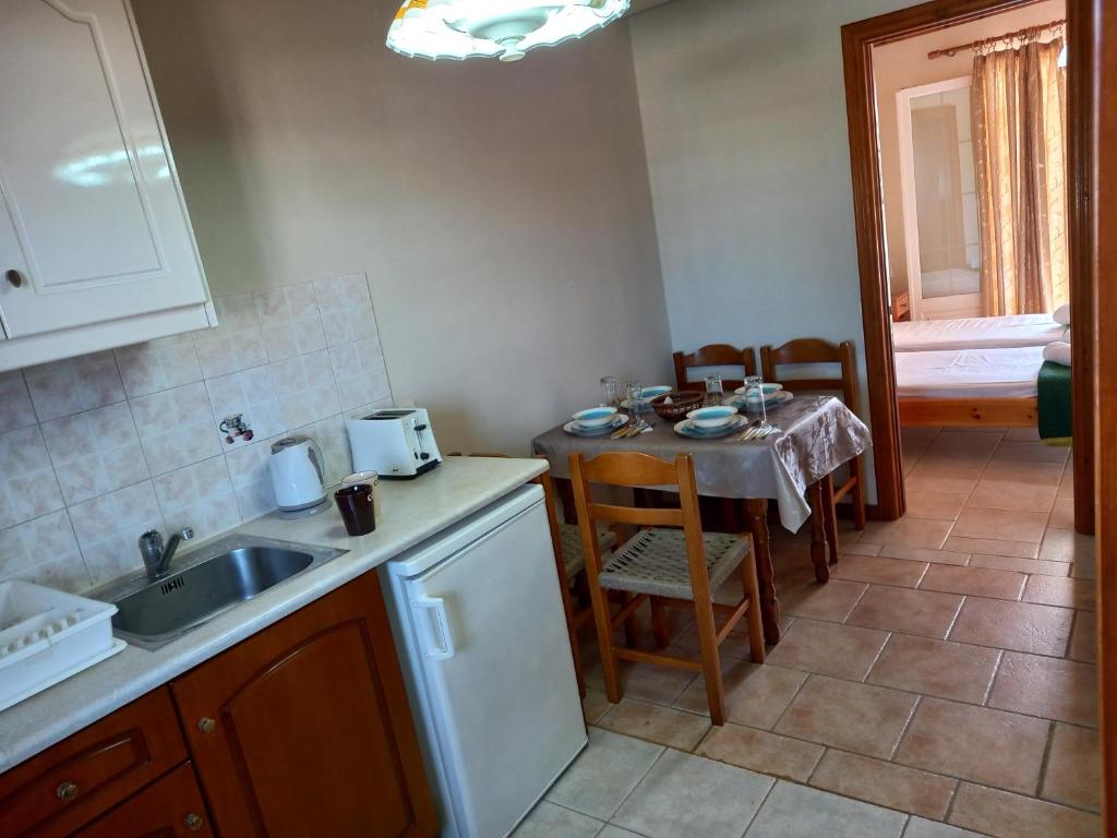 Kuchyň nebo kuchyňský kout v ubytování Chrysanthy Apartments