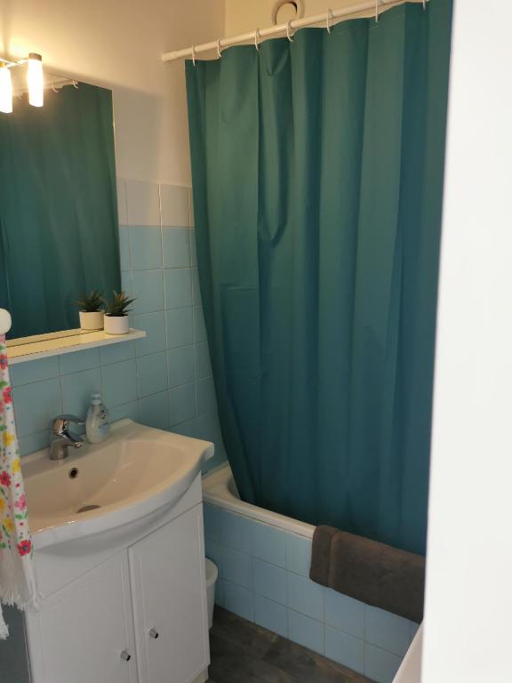 a bathroom with a sink and a shower curtain at Grand studio de 33m² à 300m des plages in Vallauris
