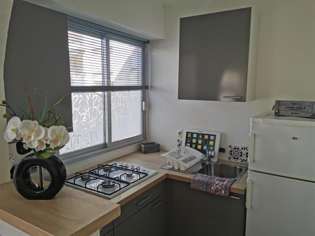 a kitchen with a stove and a vase of flowers on a counter at Grand studio de 33m² à 300m des plages in Vallauris