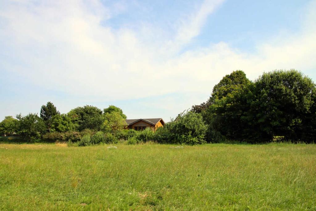 a field of grass with a house in the background at Ferienhaus an der Wiese in Lühmannsdorf