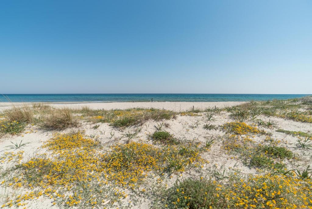 Táj Show holiday homes közelében