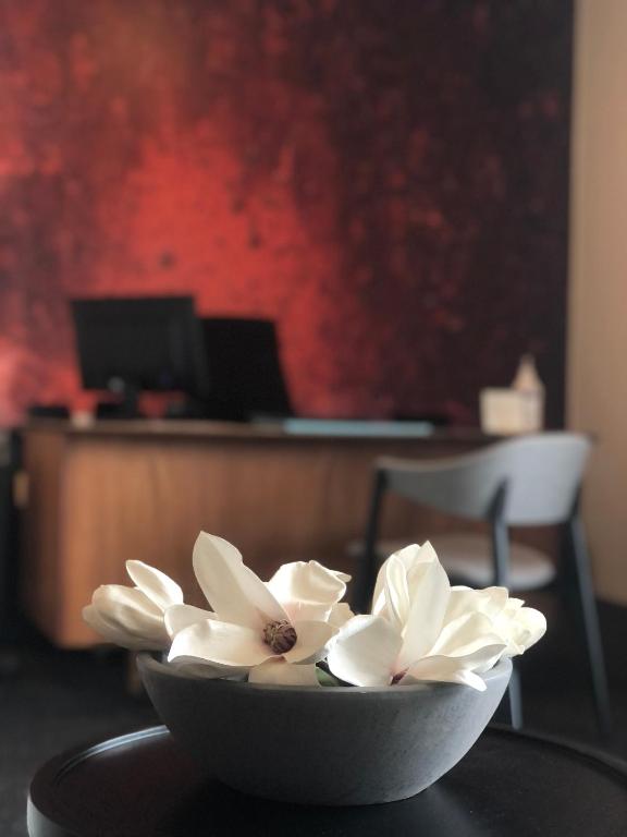 Televiisor ja/või meelelahutuskeskus majutusasutuses Volcano Hotel