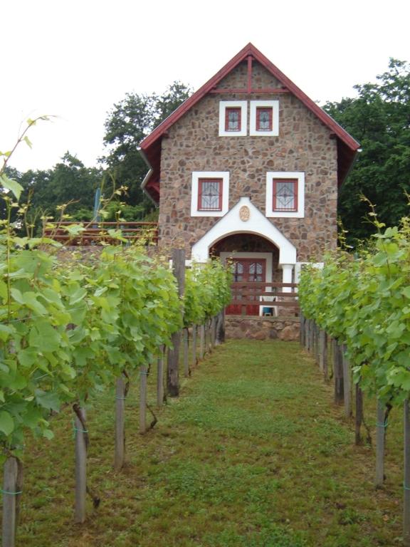 a building in the middle of a row of grape vines at Szent Orbán Vendégház in Ábrahámhegy