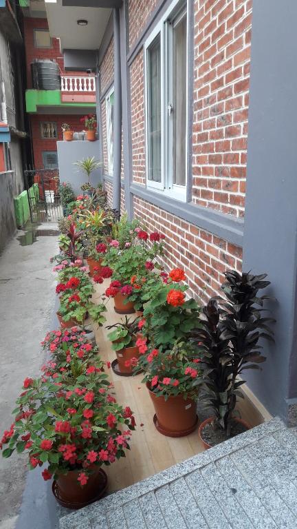 Foto dalla galleria di Beli Guest House a Pokhara