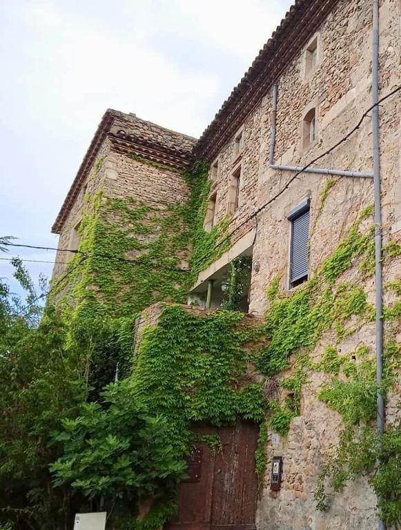 un vieux bâtiment en brique avec du lierre sur lui dans l'établissement L’insolite, à Meyrannes