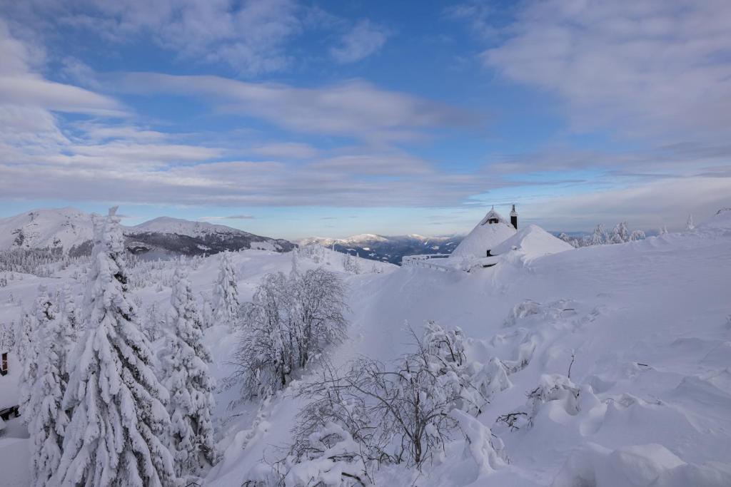 Koča Zlatorog - Velika planina v zimě