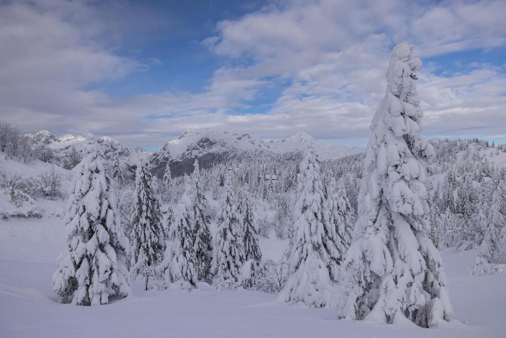 Koča Zlatorog - Velika planina v zimě