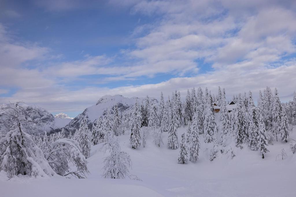 Koča Zlatorog - Velika planina v zimě