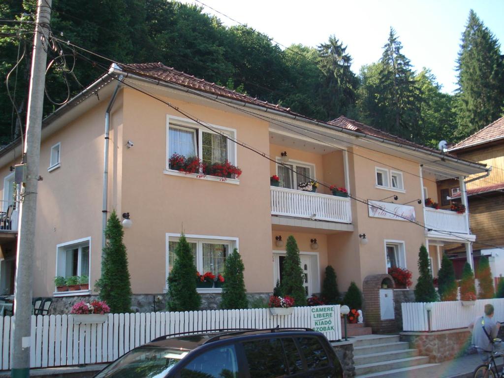 una gran casa rosa con flores en las ventanas en Vila Intim, en Sovata