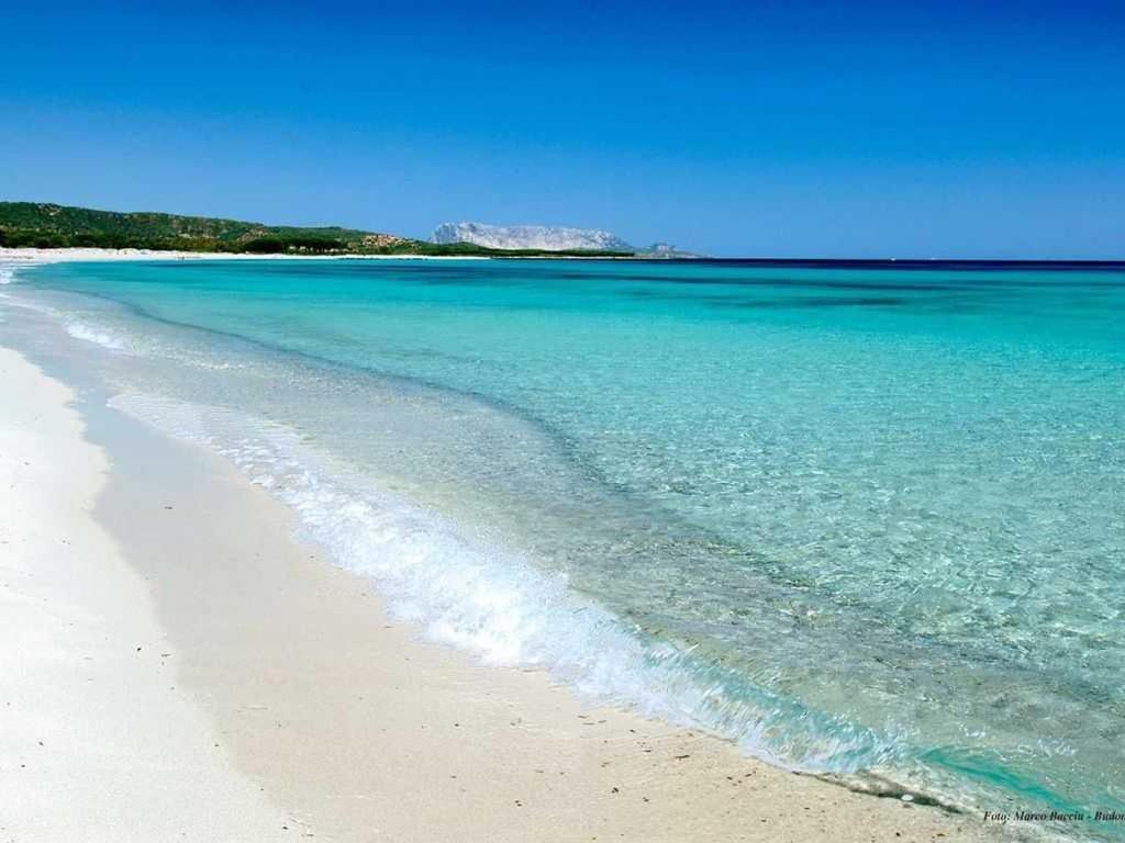 plaża z czystą niebieską wodą i białym piaskiem w obiekcie VILLA INDIPENDENTE AL MARE BUDONI w mieście Tanaunella