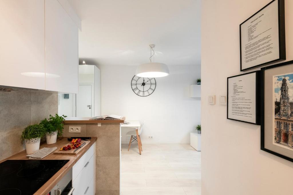 Kuchyňa alebo kuchynka v ubytovaní Waw Apartamenty Manhattan