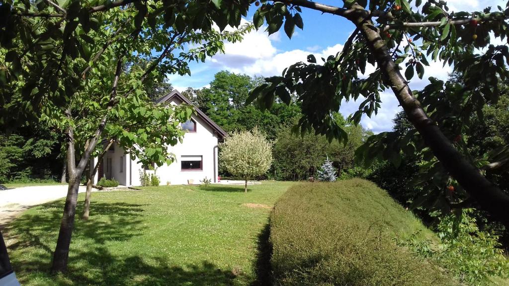 una casa en medio de un patio en Pocitniska hisa Frida, en Rogaška Slatina