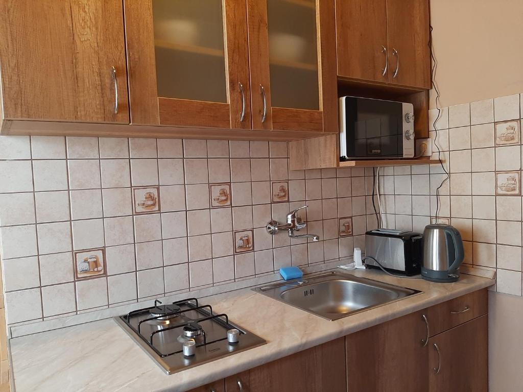 uma cozinha com um lavatório e um micro-ondas em Egniss Apartman 2 em Bogács