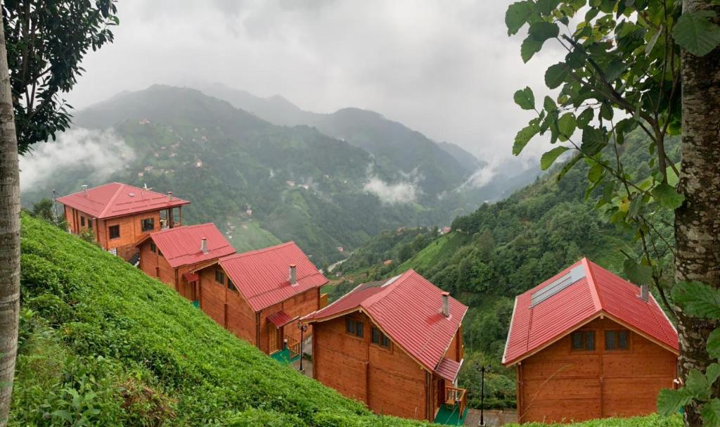 HAŞİMOĞLU OŞVACU DAĞ EVLERİ