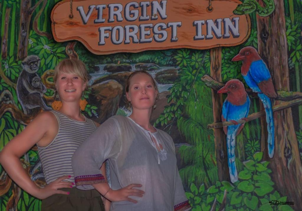 Hosté ubytování Virgin Forest Inn