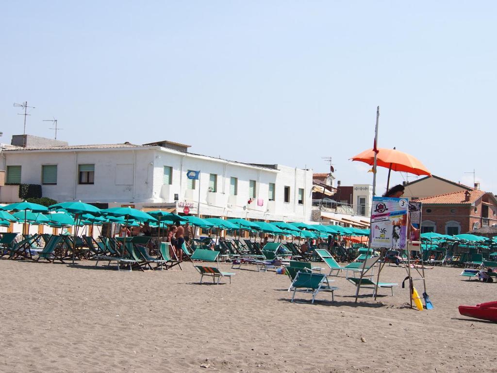 a group of chairs and umbrellas on a beach at Hotel Aurora in Marina di Cecina