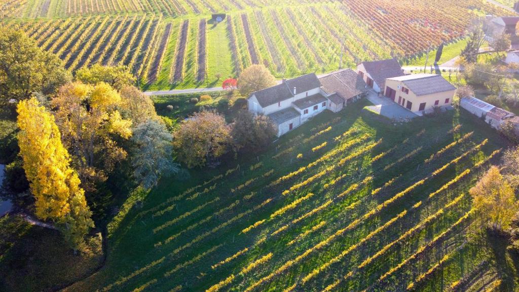 Les Vignes - Vakantiehuis