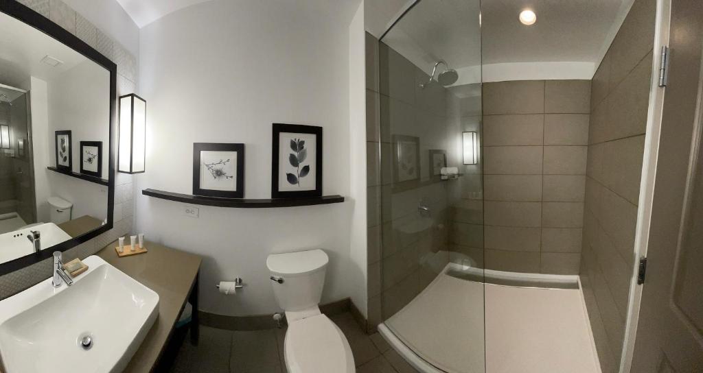Country Inn & Suites by Radisson, Charlottesville-UVA, VA photo