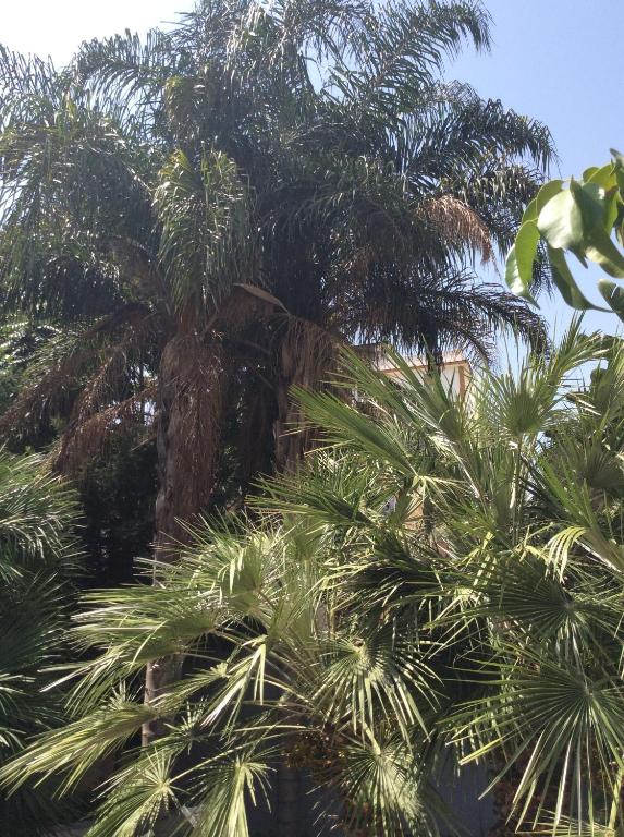 Ucciardhome Hotel - Resim 21