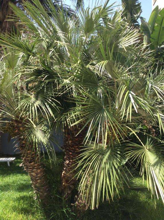 Ucciardhome Hotel - Resim 17