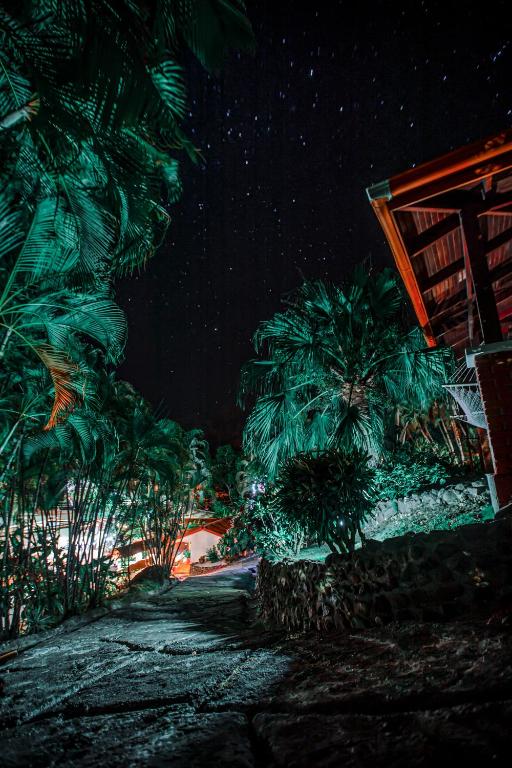 Fotografie z fotogalerie ubytování Hotel El Jardin v destinaci Montezuma