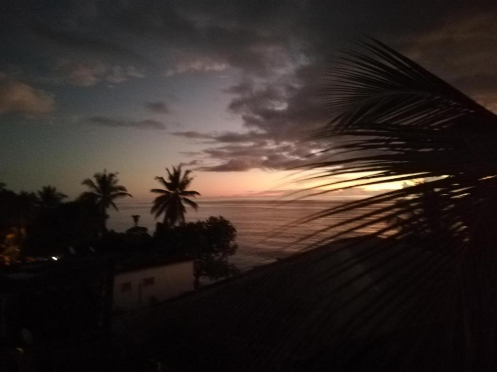 einen Sonnenuntergang über dem Meer mit einer Palme in der Unterkunft Suite parentale Villa au bord de la mer chez Saloua in Bouéni