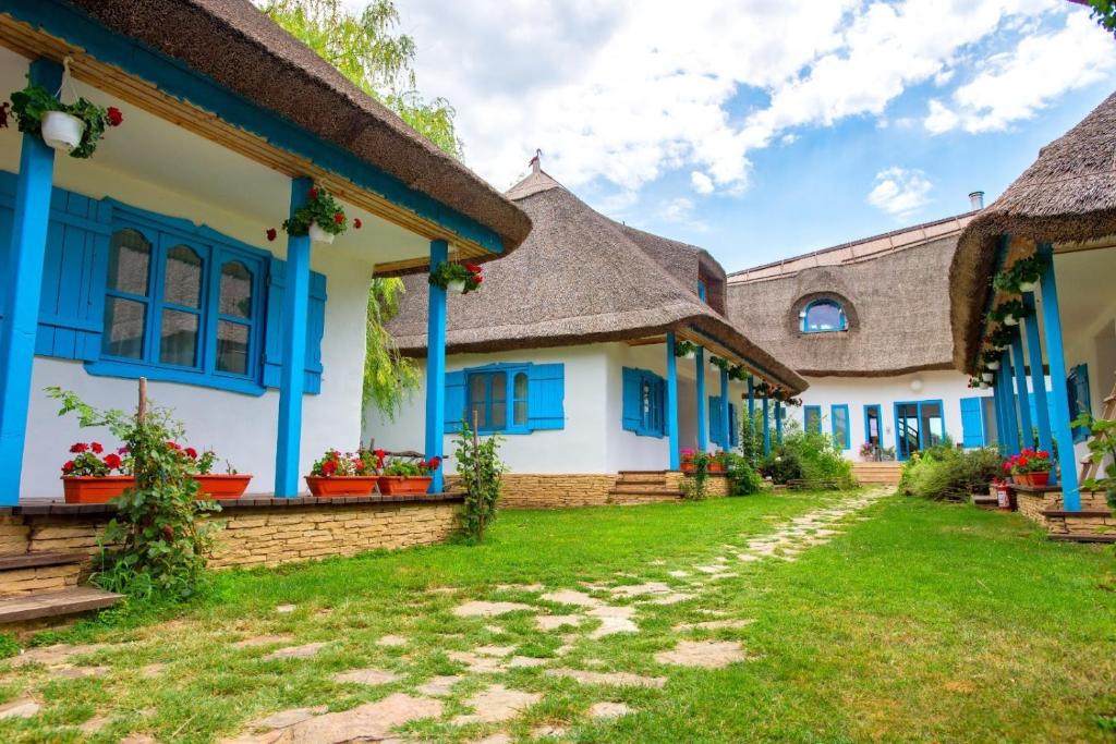a house with blue trim and a grass yard at 5 Chirpici - Small Traditional Resort in Murighiol