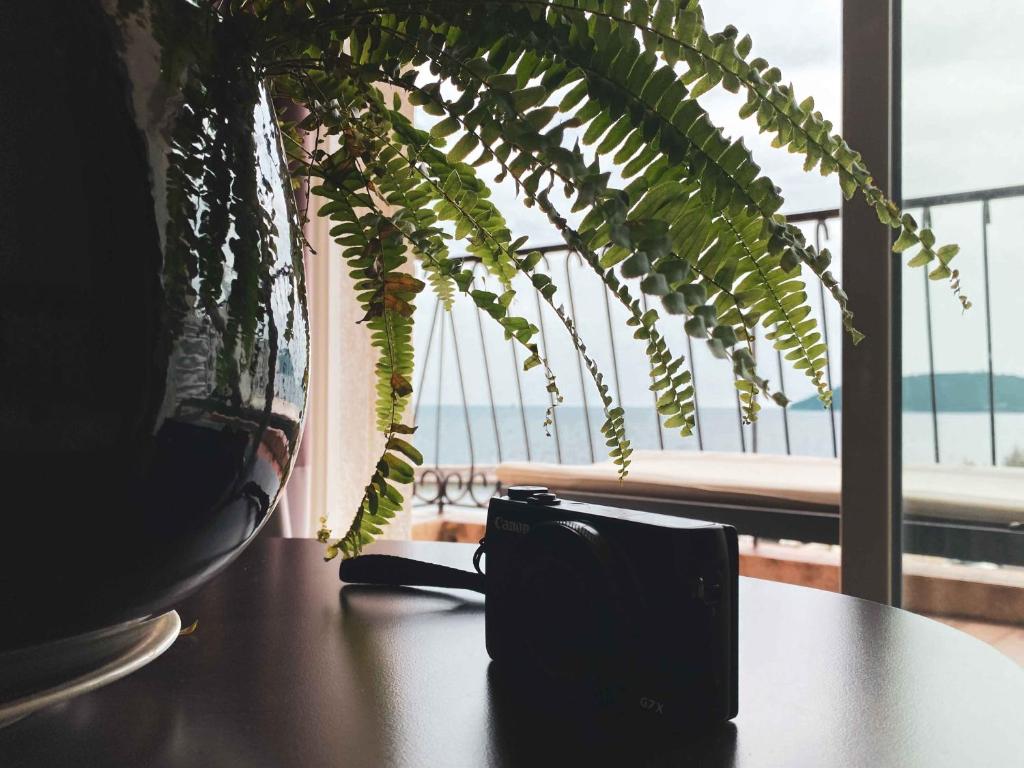 a vase sitting on a table next to a plant at Best Western Plus La Corniche in Toulon