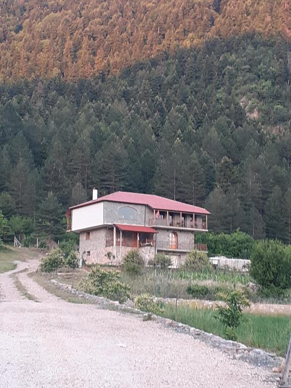Bujtina Vila Dodo - Imazhi 5