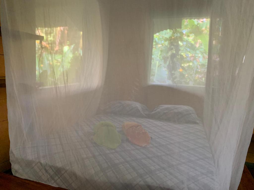 ENSUEÑOS miskita house photo