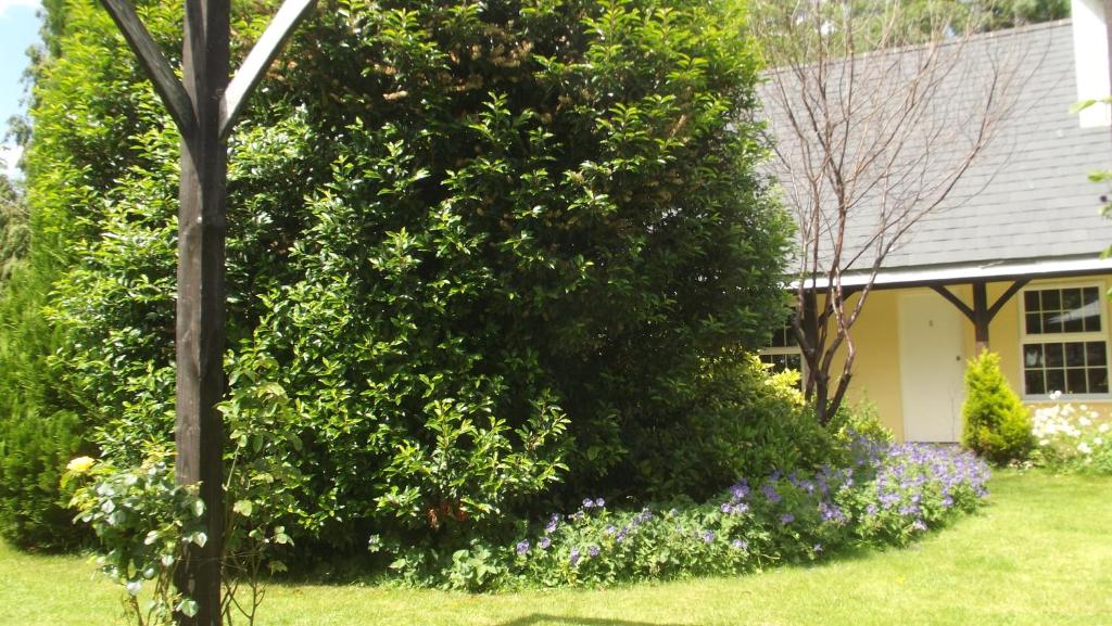 The Lord Byron Inn - Resim 26