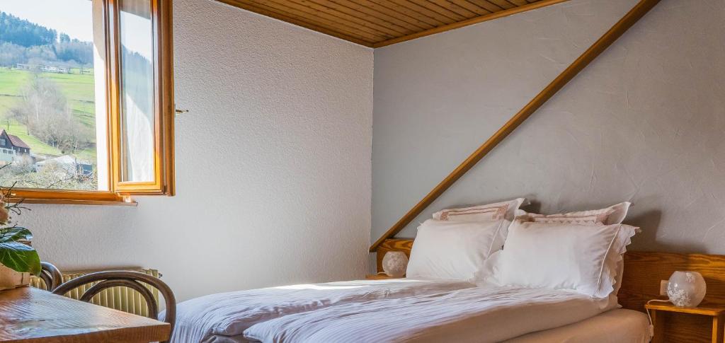 Hôtel Au Vieux Moulin - 18