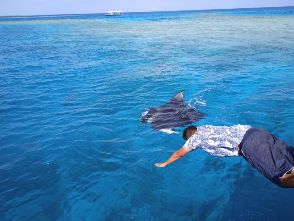 Hosté ubytování Ocean Way Guraidhoo