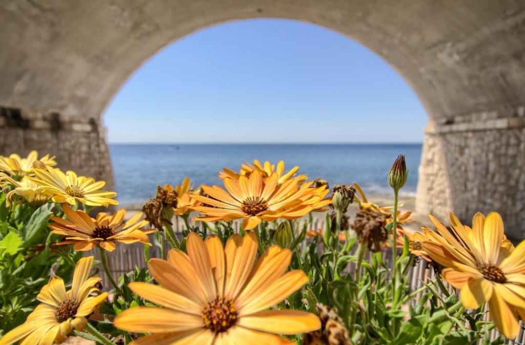 um ramo de flores amarelas debaixo de uma ponte em La casa in riva al mare em Leuca