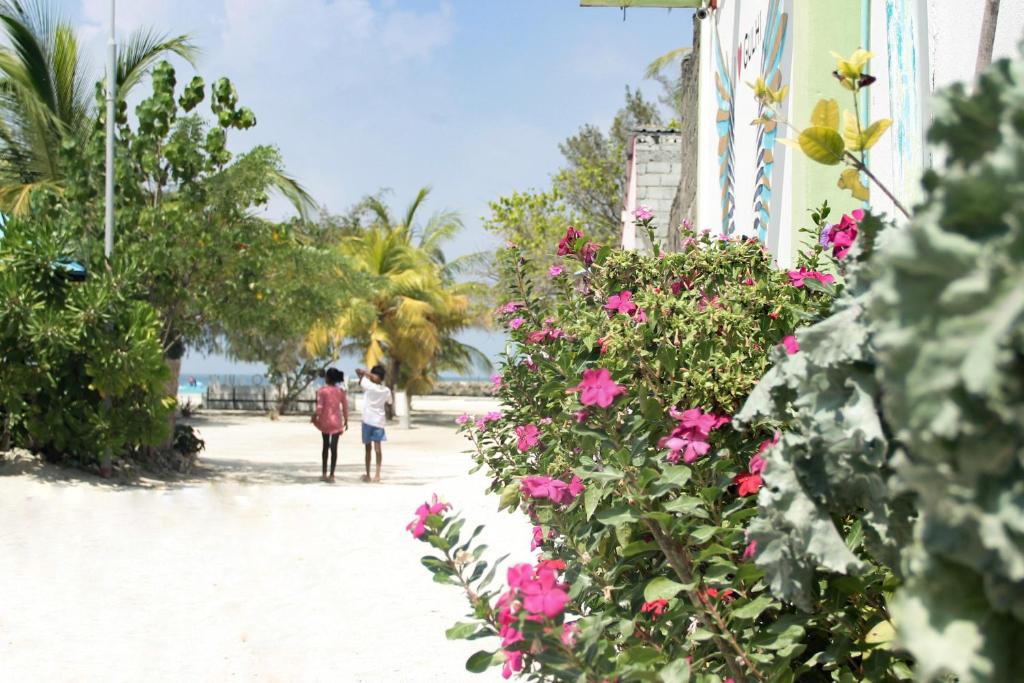 Hosté ubytování Beach Walk Villa Maldives