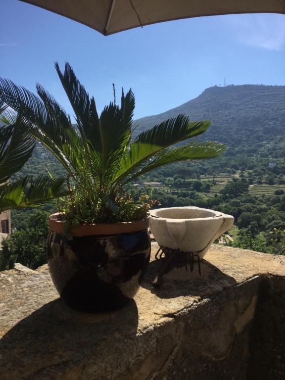 Maisonette Palazzu Pigna - Casa De Un Dormitorio