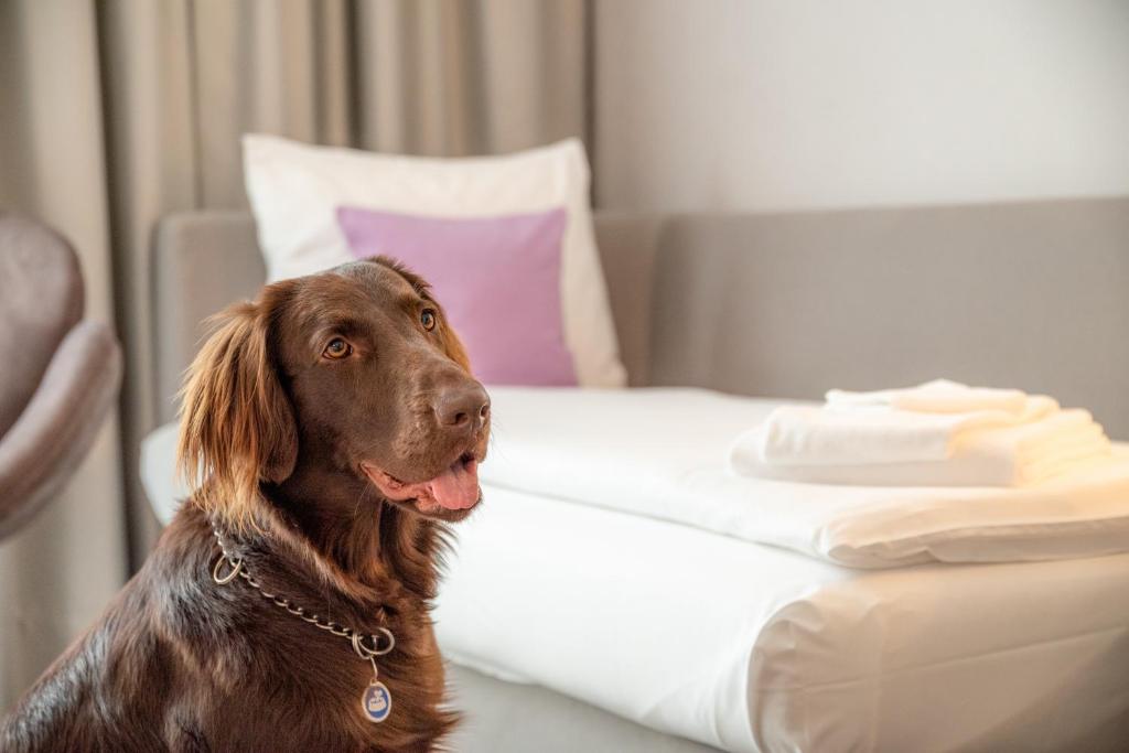 Hotel City Lugano - Resim 15